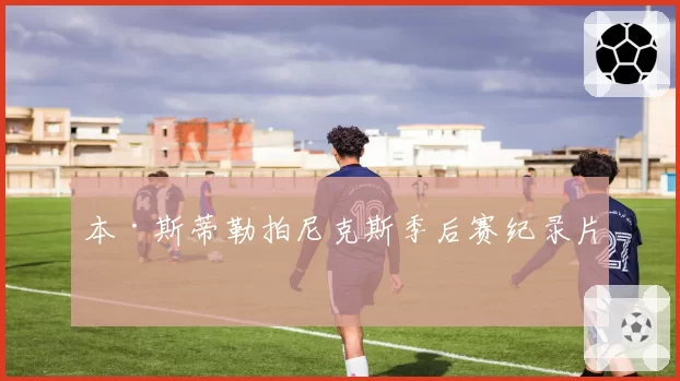 本·斯蒂勒拍尼克斯季后赛纪录片
