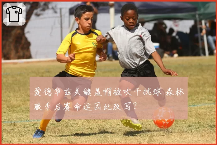 爱德华兹关键盖帽被吹干扰球 森林狼季后赛命运因此改写？