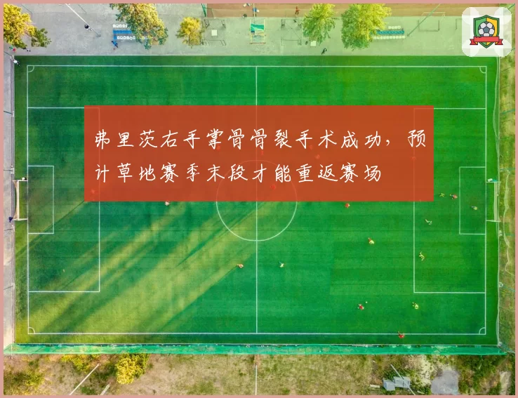 弗里茨右手掌骨骨裂手术成功，预计草地赛季末段才能重返赛场