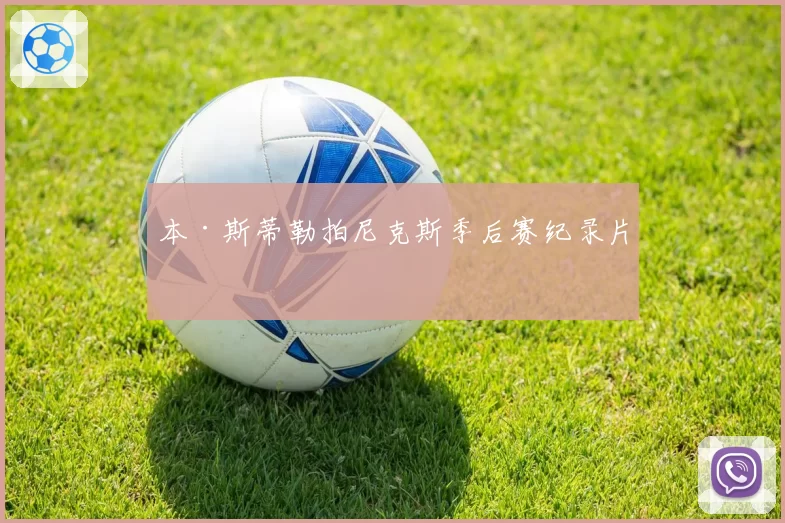 本·斯蒂勒拍尼克斯季后赛纪录片